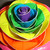 :iconashcheshire:
