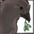 :iconashdenej: