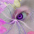 :iconashelveh: