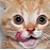 :iconashersqt: