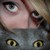 :iconasheybear: