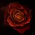 :iconashira-rayne: