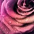 :iconashleigh-fay: