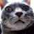 :iconashley-archades: