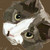 :iconashley-blake: