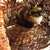 :iconashley-johnson: