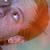 :iconashleycambra: