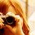 :iconashleysidaway: