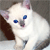 :iconashleyskin: