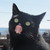 :iconashoof: