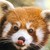 :iconashotofespresso: