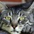 :iconashriver7710: