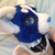 :iconashsilverfox: