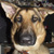 :iconashthebrave: