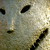 :iconashtin1190: