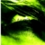 :iconashtraylizard: