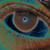 :iconashwin-rulz15: