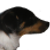 :iconashyface: