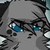 :iconashyfur2: