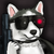 :iconashyhusky: