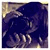 :iconasia-express: