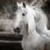 :iconasia12322: