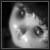 :iconasik88: