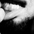 :iconasilencingstar: