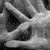 :iconasimpleliexiii: