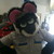 :iconasino-ringtail: