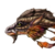 AsirasBettas :iconasirasbettas: