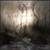 :iconasis-asio: