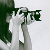 :iconasisweetlover: