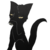 :iconask----scourge: