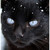 :iconask--night: