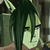 Ask--Stork :iconask--stork: