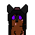 :iconask-2pookamicolombia:
