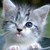 :iconask-aryanna: