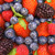 ask-berrygirls :iconask-berrygirls: