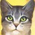 :iconask-echosong: