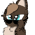 :iconask-female-hawkfrost: