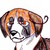 :iconask-ginga-italy: