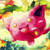:iconask-hoppip: