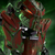:iconask-makuta-teridax: