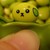 :iconask-mameshibaedamame: