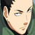 :iconask-narashikamaru:
