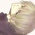 :iconask-nikolai: