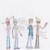 :iconask-phill: