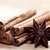 :iconask-princessspice: