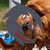 :iconask-rook: